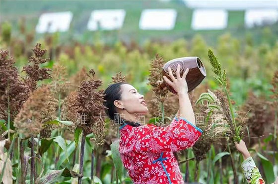 從廚師到釀酒師，用全自動(dòng)釀酒設(shè)備釀出美酒，釀出紅火日子