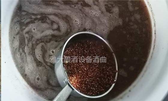 高粱做酒首先泡糧