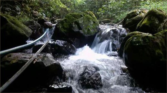 用白酒釀酒設備釀酒過程中加水屬于造假嗎？ 5