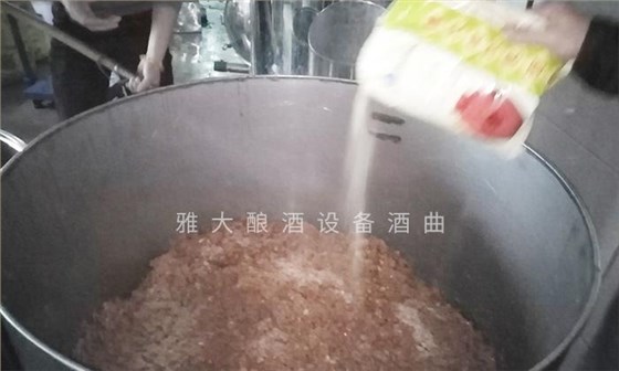 它酷似櫻桃，90后用果酒釀酒設備將它釀酒，見過的不多 5