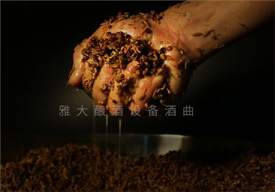 夏季用純糧釀酒設(shè)備做酒一不小心就變酸了，怎么辦？ 4