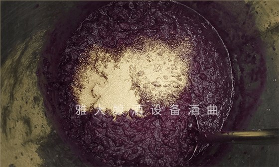 想做紫薯酒，口感好嗎？紫薯釀酒設(shè)備技術(shù) 6