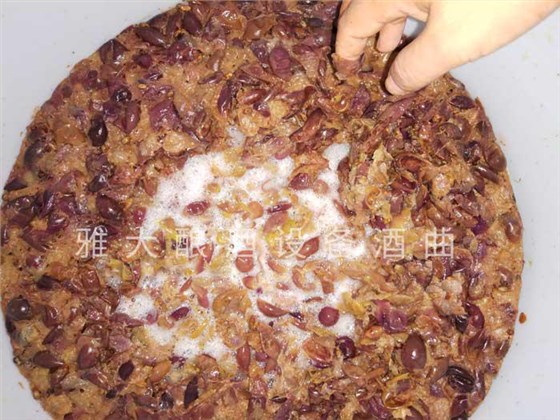 做強(qiáng)本土特色果酒產(chǎn)業(yè)，開辟果酒“新”賽道8