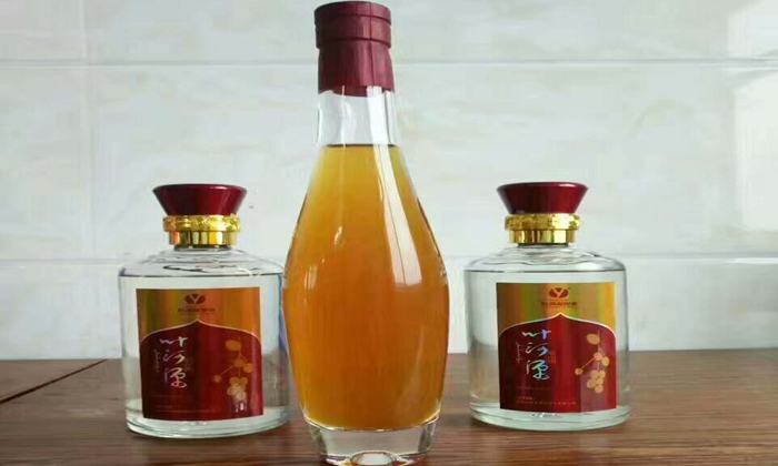 「特色酒教學(xué)」紅棗酒