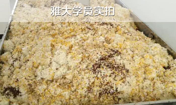 白酒設(shè)備/如果五糧液配方，糧食粉碎，如何蒸煮？