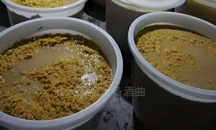 玉米釀酒設(shè)備做的生料玉米酒口感真的有那么差么？-01-玉米生料釀酒