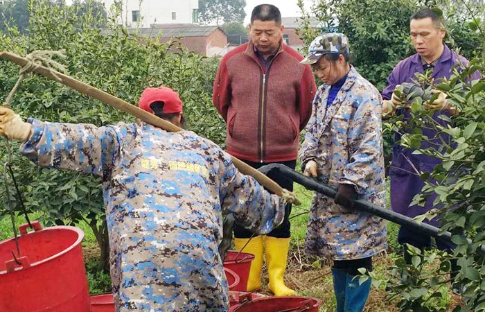 種植基地